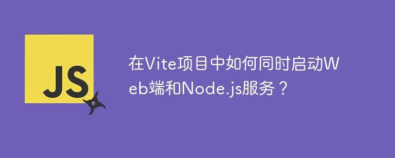 Vite项目中如何同时运行Web和Node.js服务?