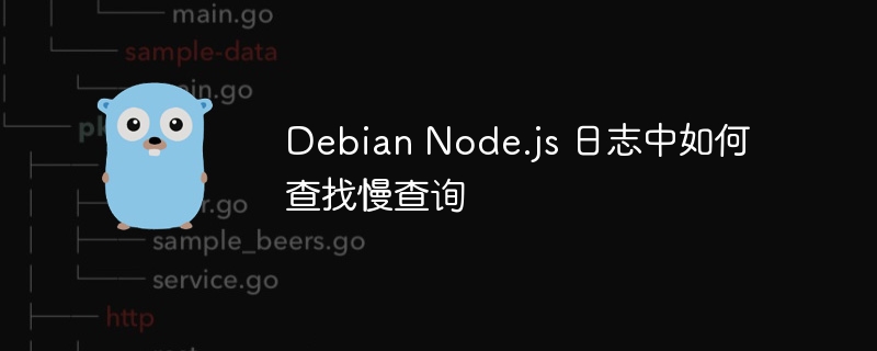 DebianNode.js日志慢查询查找技巧