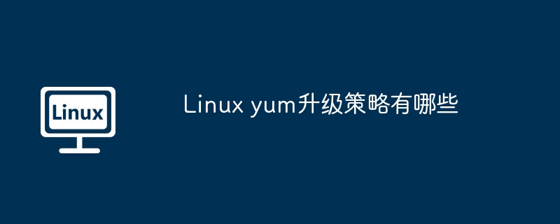 Linuxyum升级策略详解与实战应用