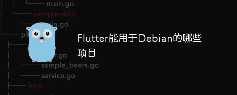 Flutter在Debian上的项目应用与案例分享
