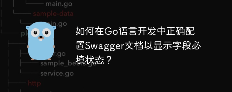 Go语言Swagger必填字段配置指南