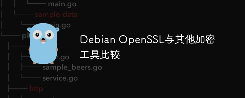 DebianOpenSSL与其他加密工具的对比分析