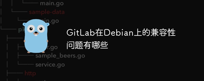 GitLab在Debian上的兼容性问题全解析