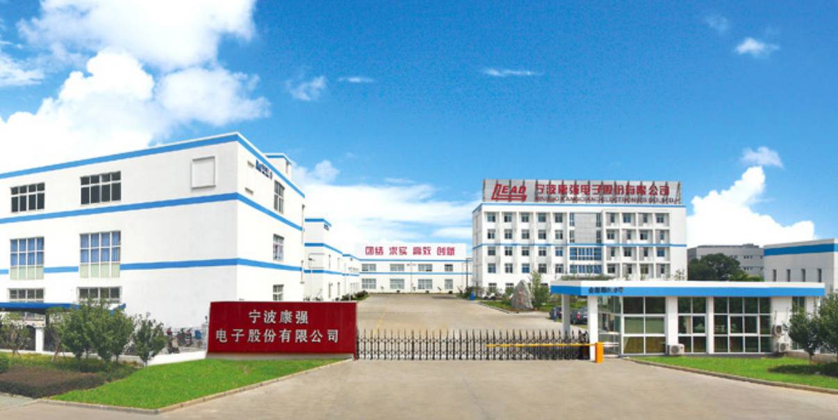 康强电子2024营收19.65亿,净利润增3.24%