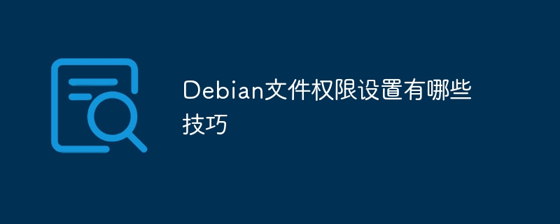 Debian文件权限设置技巧全攻略