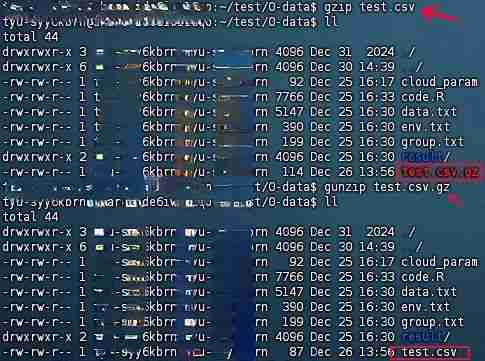 效率翻倍！Linux 文件压缩与解压技术详解