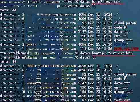 效率翻倍！Linux 文件压缩与解压技术详解
