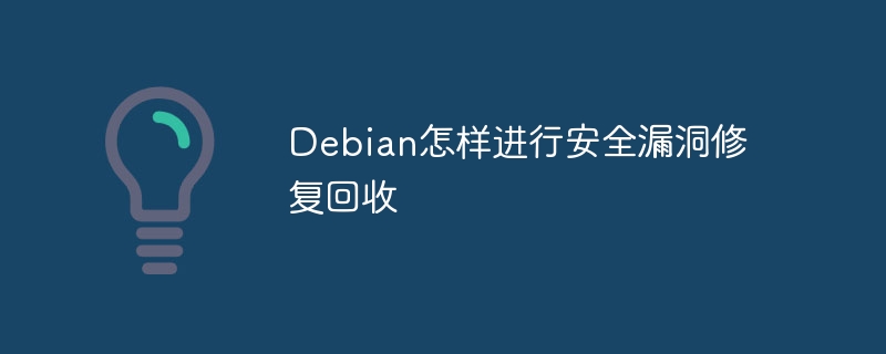 Debian安全漏洞修复回收技巧及方法