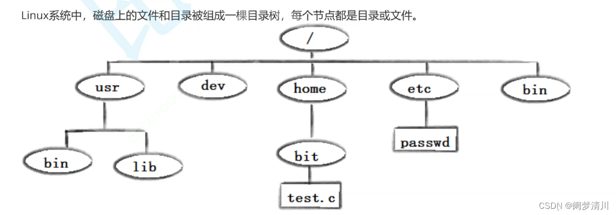 Linux初识