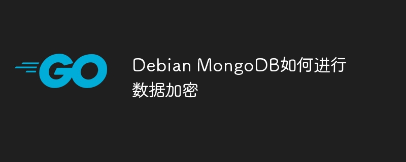 Debian上MongoDB数据加密的详细步骤及方法