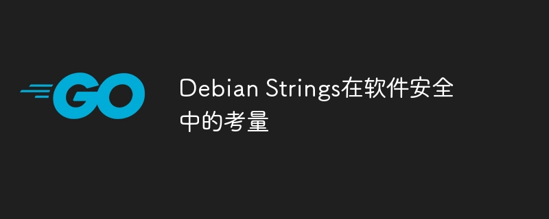 DebianStrings在软件安全中的关键作用