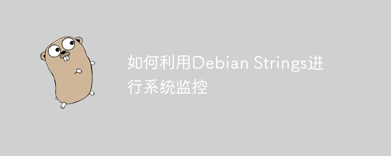 如何利用Debian Strings进行系统监控