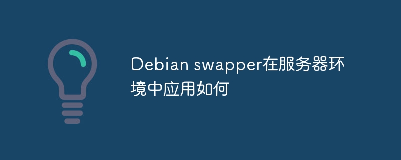 Debianswapper在服务器环境中的实用指南