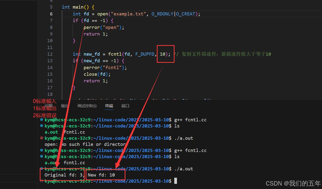 【Linux网络】I/O 世界的技术之旅：探索五种模型与 fcntl 函数的魅力