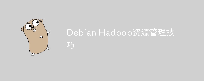 DebianHadoop资源管理实用小技巧