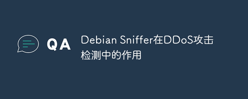 DebianSniffer在DDoS攻击检测中的重要作用