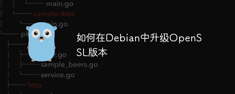 Debian中OpenSSL版本升级详细攻略