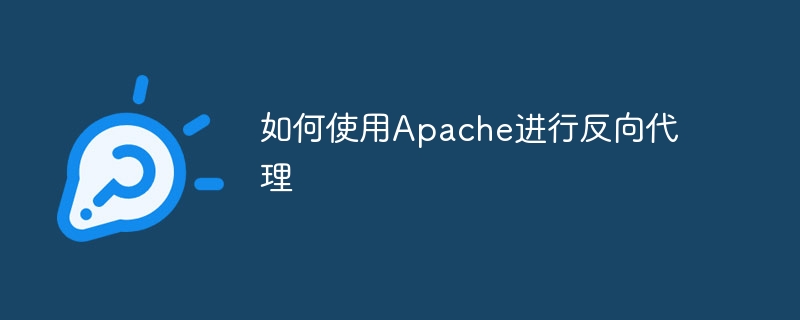 Apache反向代理设置详解教程