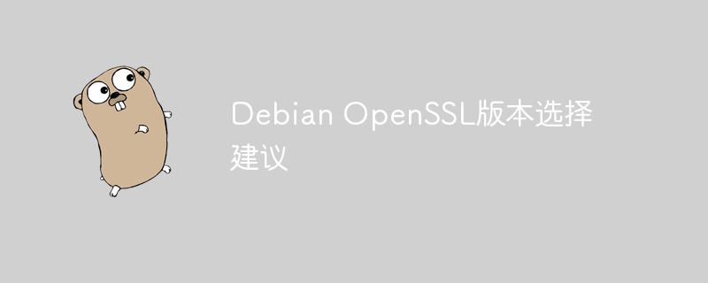 Debian OpenSSL版本选择建议