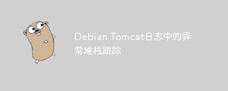 Debian Tomcat日志中的异常堆栈跟踪