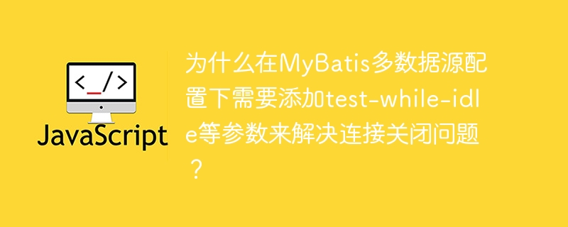 为什么在MyBatis多数据源配置下需要添加test-while-idle等参数来解决连接关闭问题？