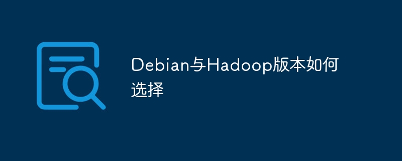 Debian与Hadoop版本选择攻略