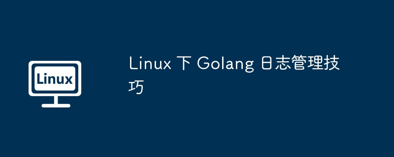 Linux下Golang日志管理实用攻略