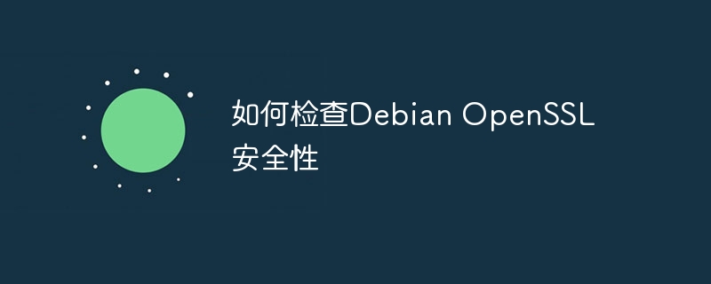 如何检查Debian OpenSSL安全性