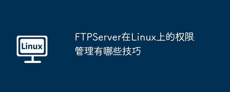 FTPServer在Linux上权限管理技巧大全