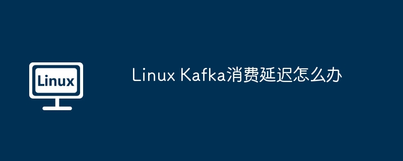 LinuxKafka消费延迟优化技巧