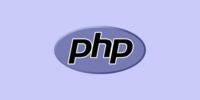 PHP类型声明详解与实用指南