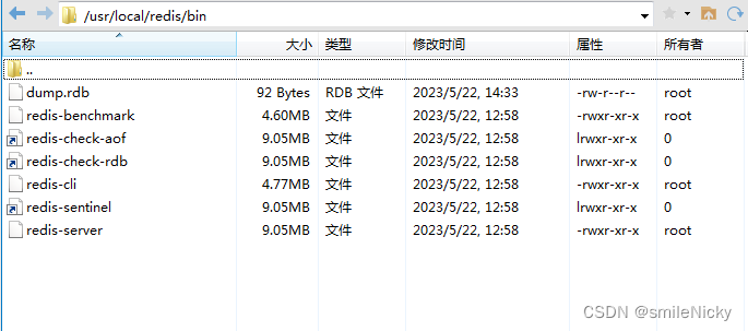 Linux安装Redis6.2.5超详细图文攻略