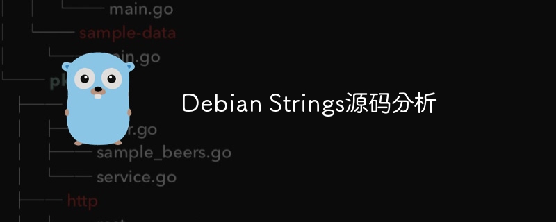 DebianStrings源码深度解析