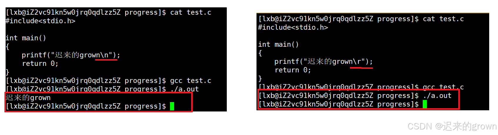 初探Linux编程进度条的奥秘