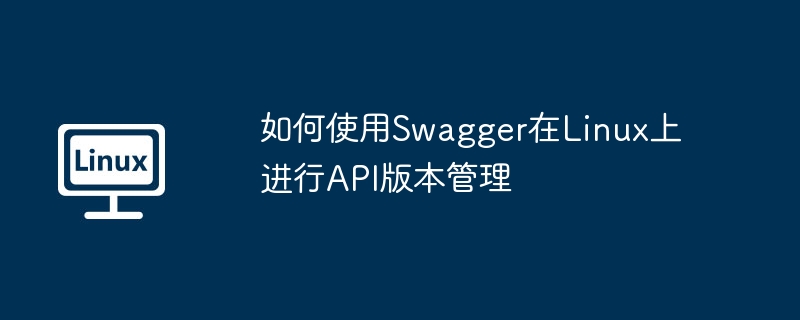 Swagger在Linux上管理API版本的实用技巧
