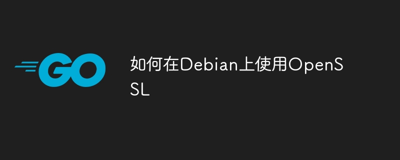 Debian上OpenSSL使用技巧及方法