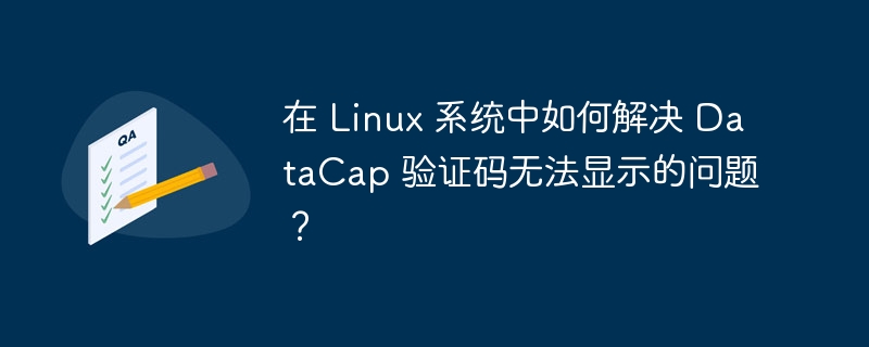 Linux系统DataCap验证码显示问题的最佳解决方案