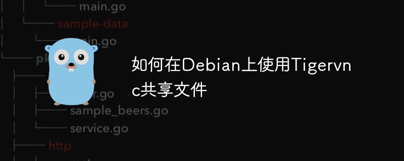 Debian上Tigervnc共享文件的绝妙技巧