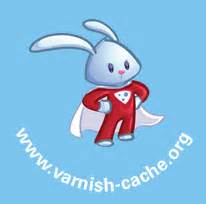 VCL - Varnish Configuration Language