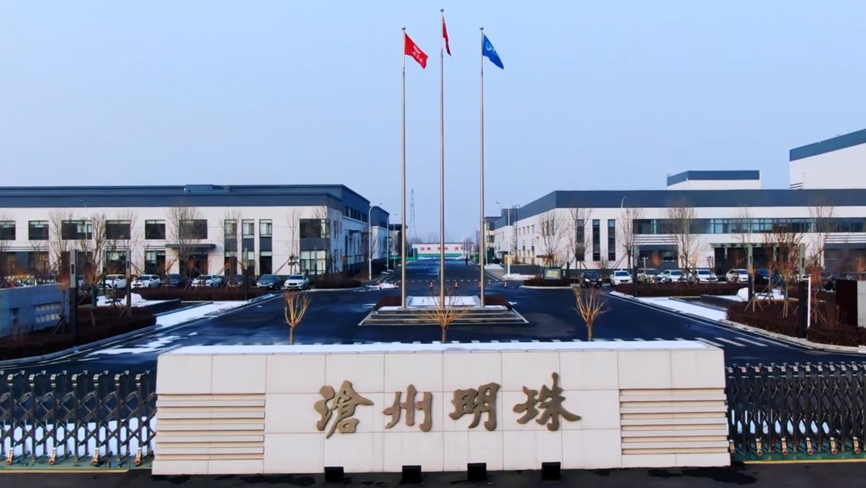 沧州明珠BOPA及隔膜新线投产，产能逐步提升