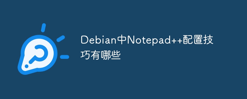 Debian中Notepad++配置技巧大揭秘