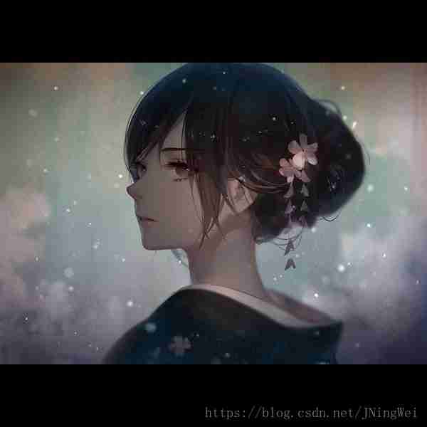 图像处理: 无损地旋转图像