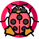 KGDB Debugger