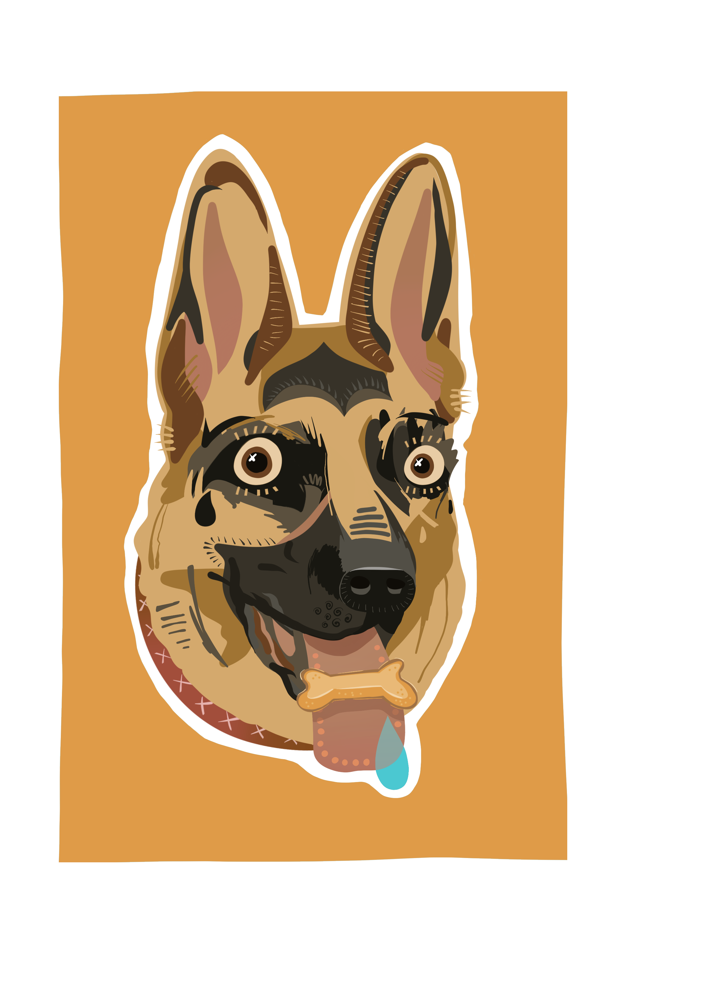 alsatian