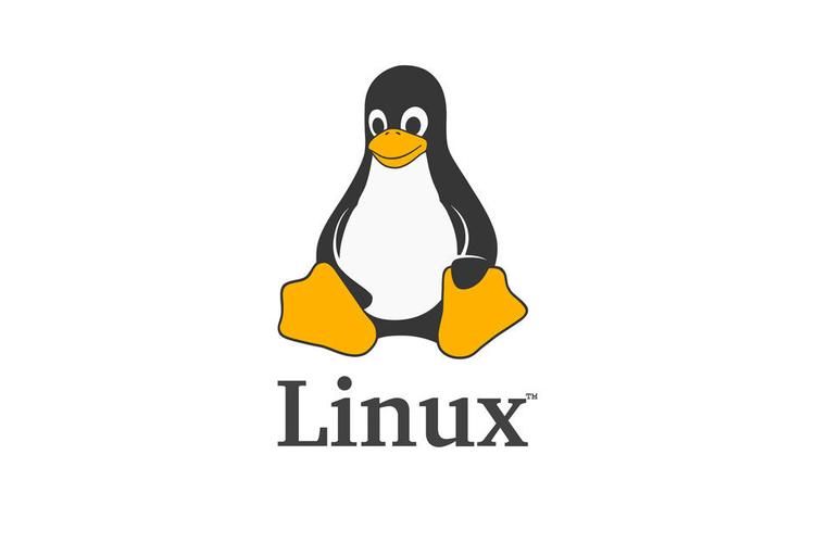 Linux文件所有者修改攻略：chown命令全解析