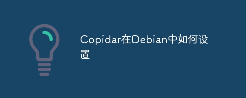 Copidar在Debian中的安装与配置指南