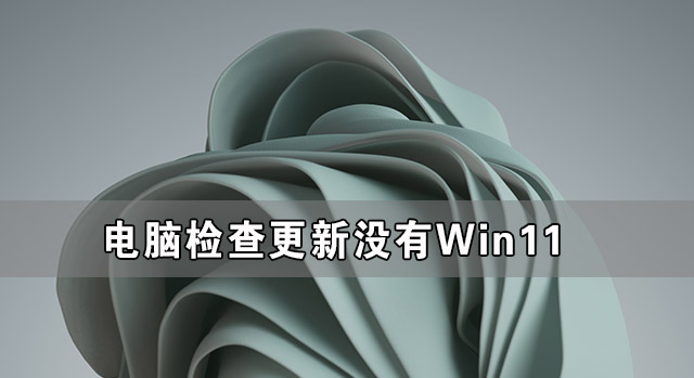 未检查到Win11更新?教你获取推送方法