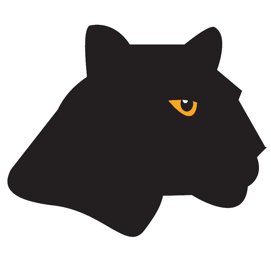 AMPL for VS Code