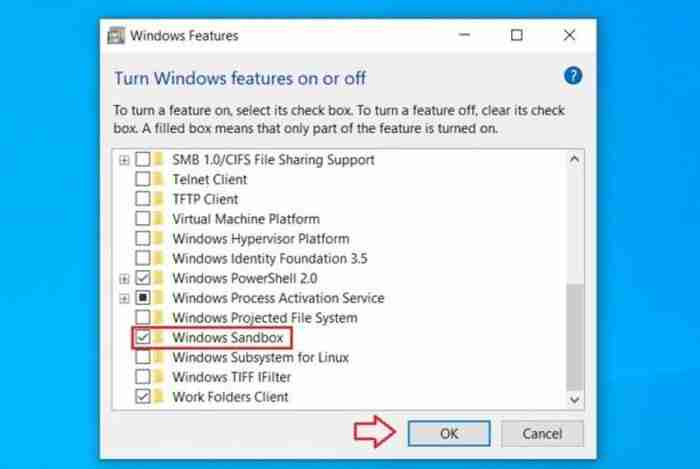 Win10系统中启用Windows Sandbox功能的方法