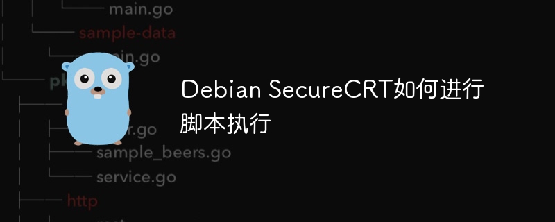 Debian中SecureCRT脚本的执行攻略